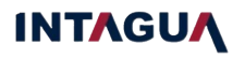 INTAGUA OBRAS PUBLICAS S. L